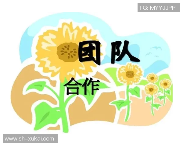 上海排球队团队协作的成功之道与赛场表现分析